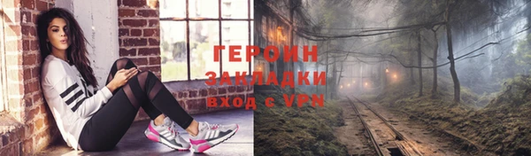 мдпв Гусев