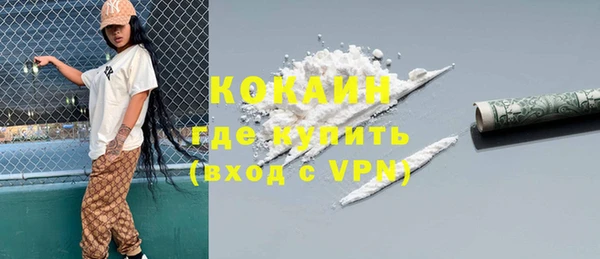 сатива Гусь-Хрустальный