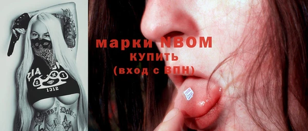 винт Гусиноозёрск