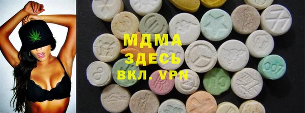 мдпв Гусев