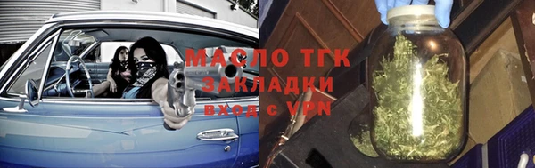 мдпв Гусев