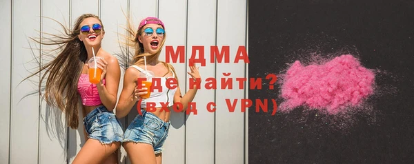 мдпв Гусев