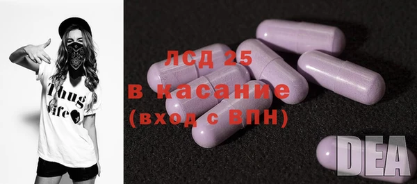 мдпв Гусев