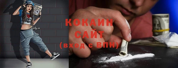 сатива Гусь-Хрустальный