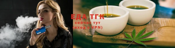 мдпв Гусев