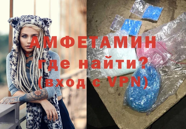 сатива Гусь-Хрустальный