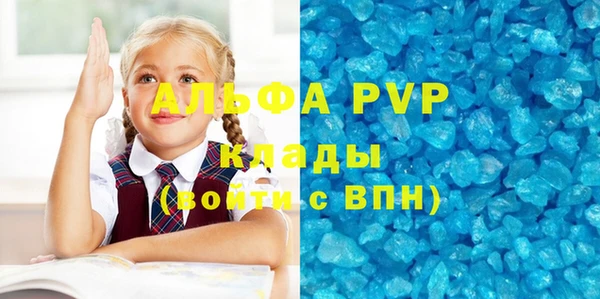 мдпв Гусев