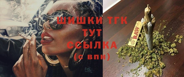 винт Гусиноозёрск