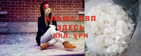 сатива Гусь-Хрустальный