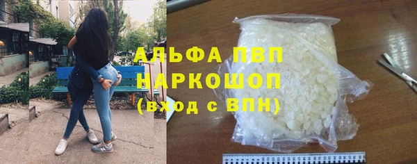 мдпв Гусев