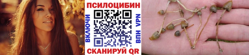Галлюциногенные грибы Psilocybine cubensis Воскресенск