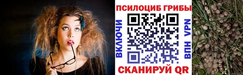 сколько стоит  Воскресенск  Псилоцибиновые грибы прущие грибы 