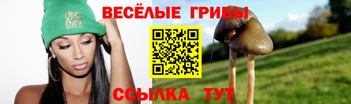 Псилоцибиновые грибы Cubensis  Воскресенск  купить наркотик  Галлюциногенные грибы Psilocybine cubensis 